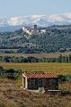 Clodius_3623E