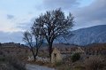 FrancoisDSC_4219