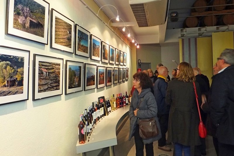 DSCF6814.jpg