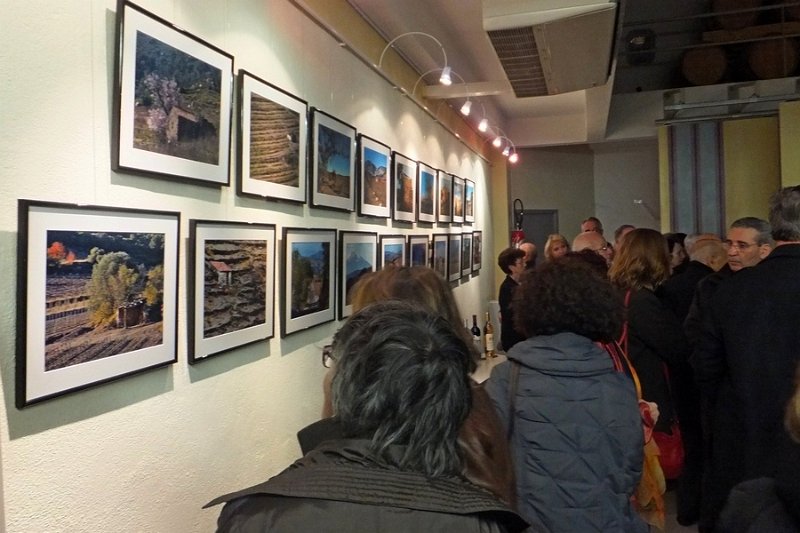 DSCF6815.jpg
