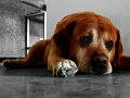 Christian_6170