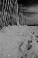 Claude_2770