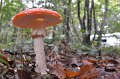 Jo_0915a