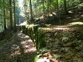 Rolland_1685