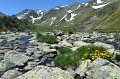 101-AlainS-Bouillouses-113